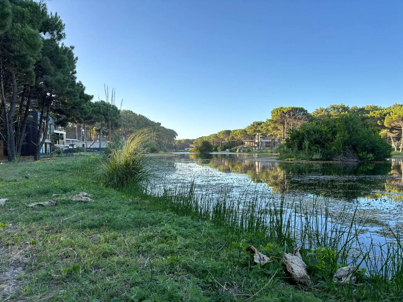 Brisas, a trescientos metros del mar — foto 32