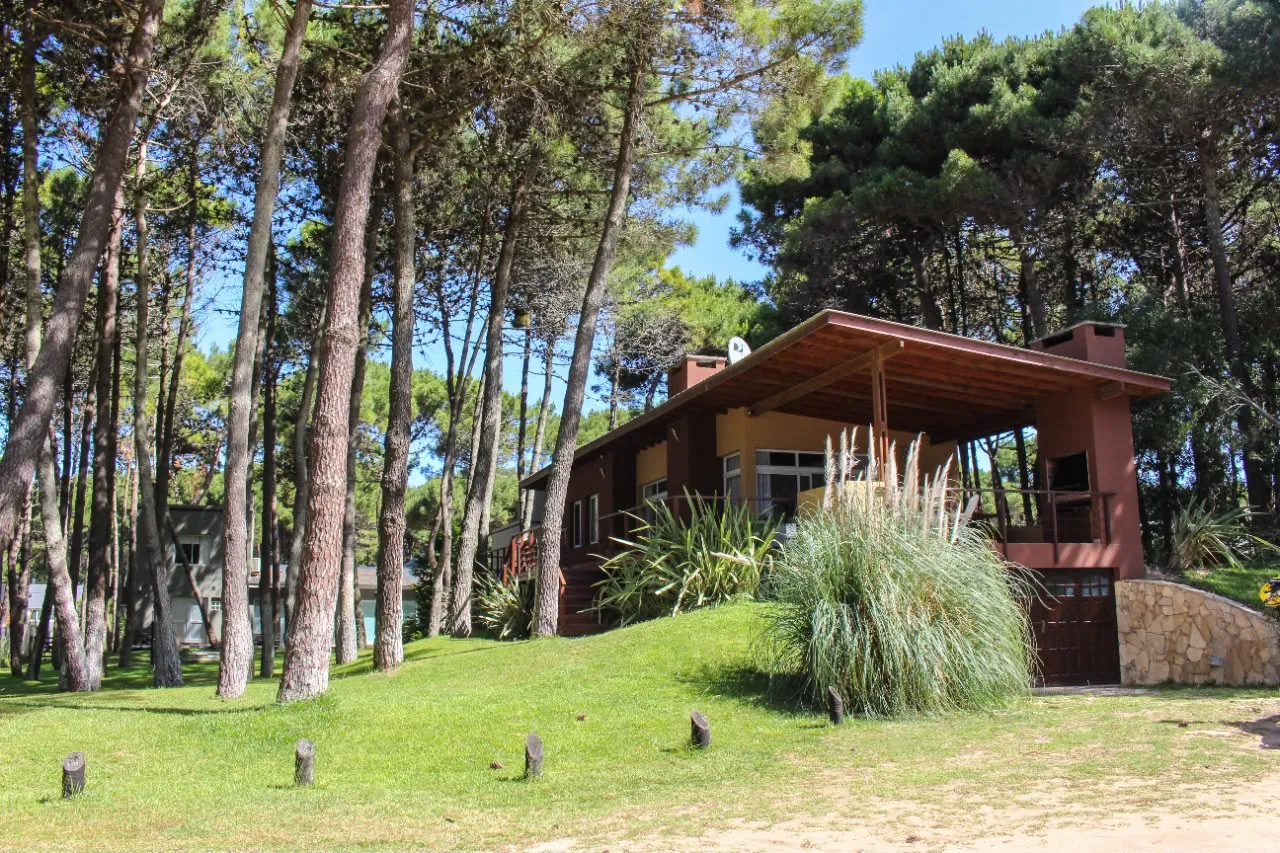 Un cul de sac, todo el bosque — foto 13