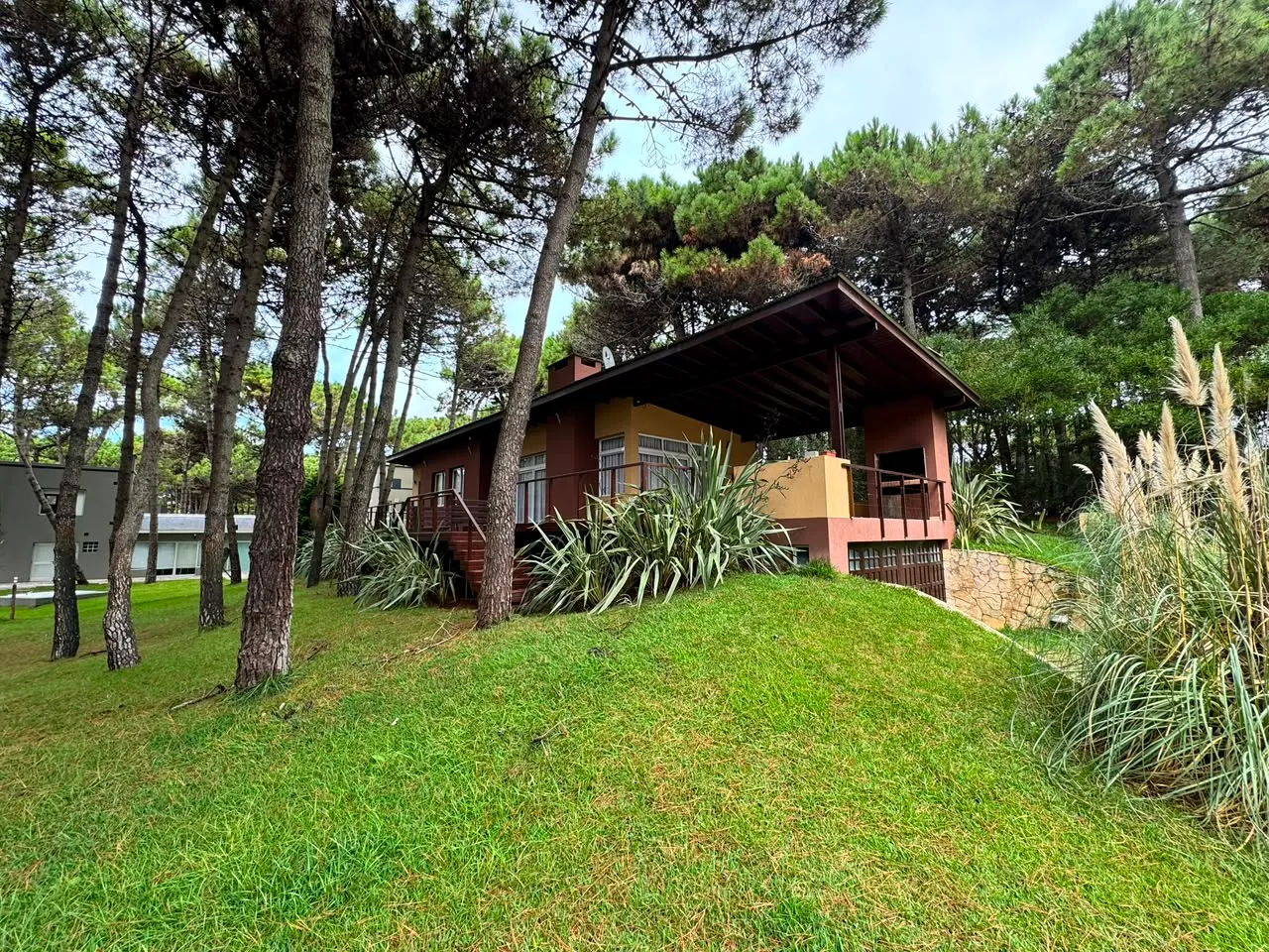 Un cul de sac, todo el bosque — foto 16