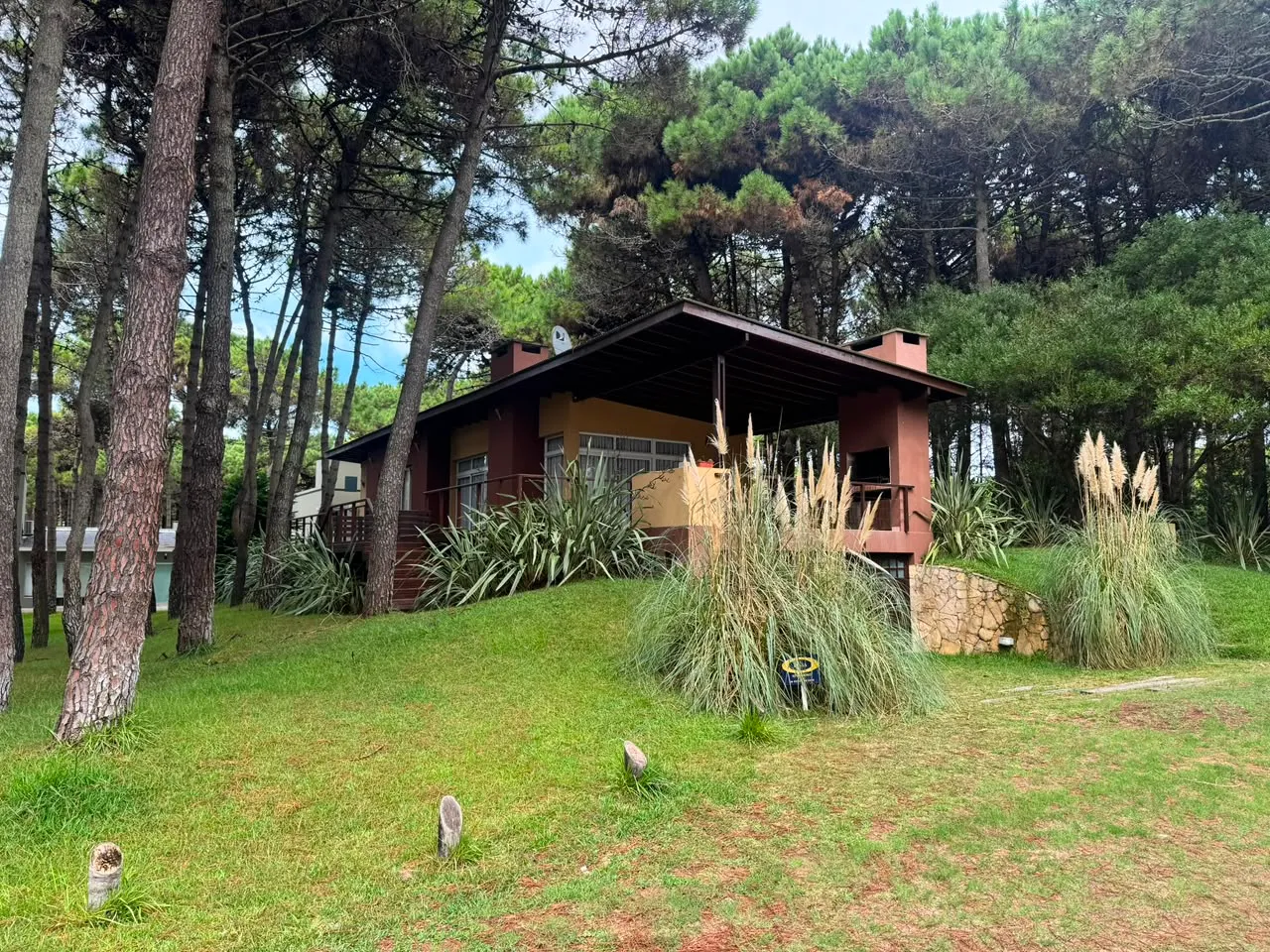Un cul de sac, todo el bosque — foto 17