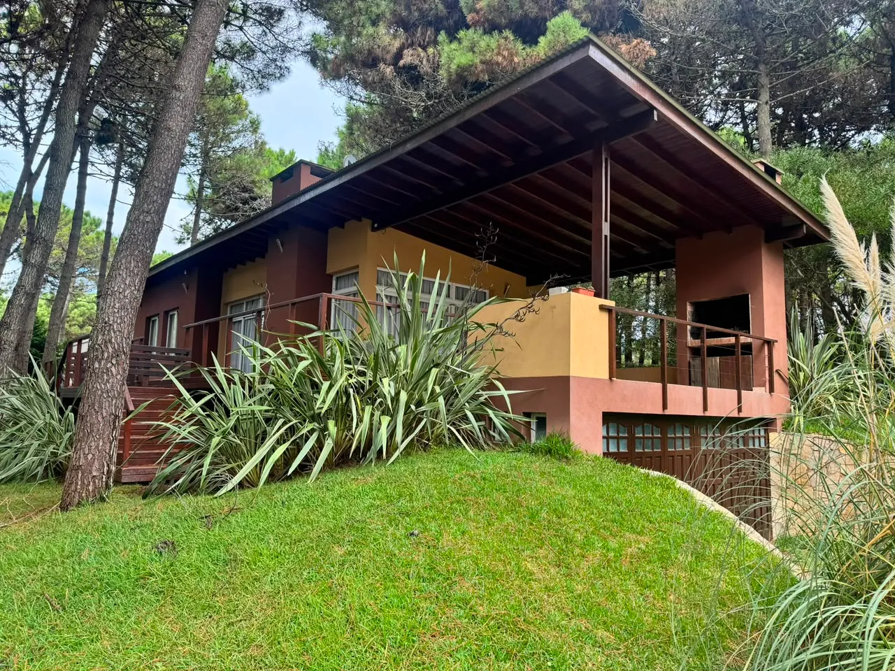 Un cul de sac, todo el bosque — foto 18