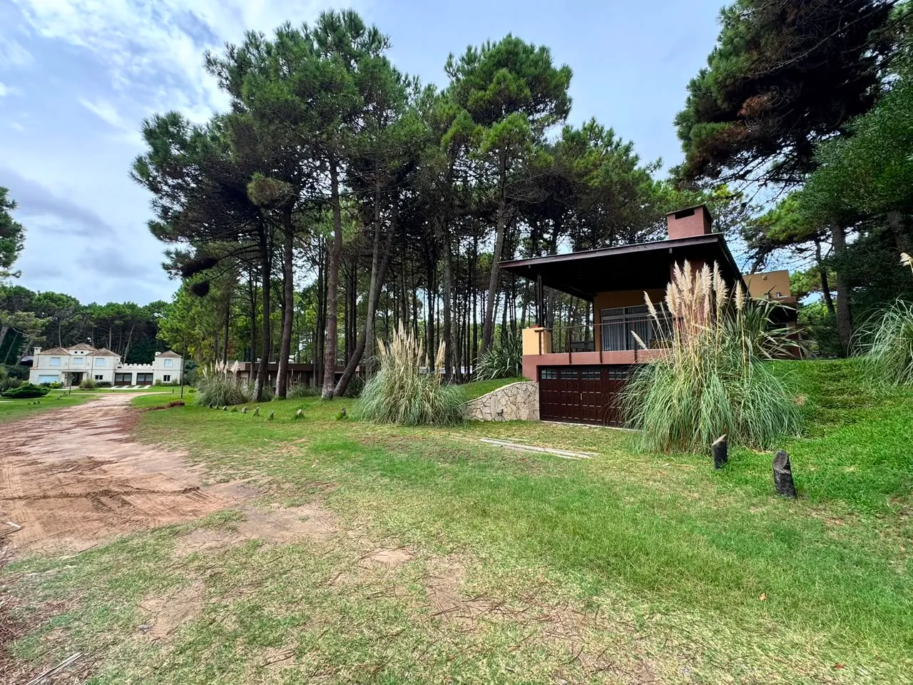 Un cul de sac, todo el bosque — foto 20