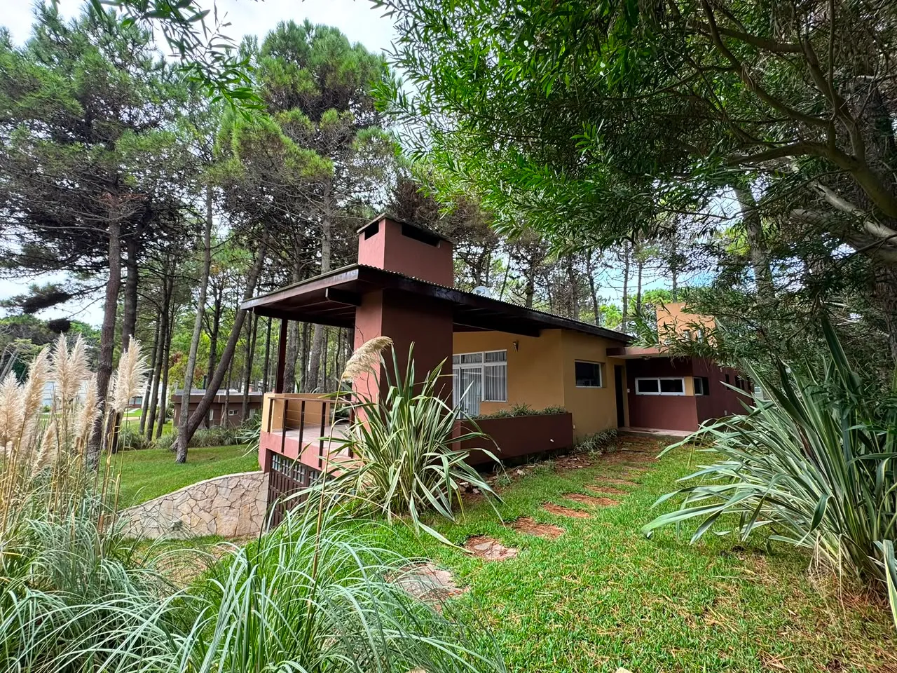 Un cul de sac, todo el bosque — foto 21