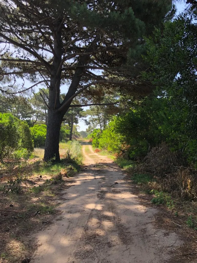 Tierra de Mar — entrar temprano — foto 6