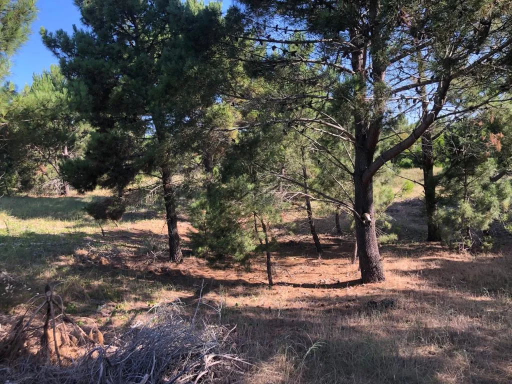 Tierra de Mar — entrar temprano — foto 12