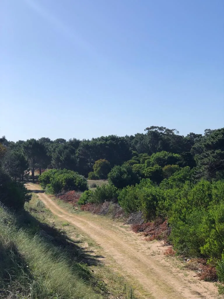 Tierra de Mar — entrar temprano — foto 14