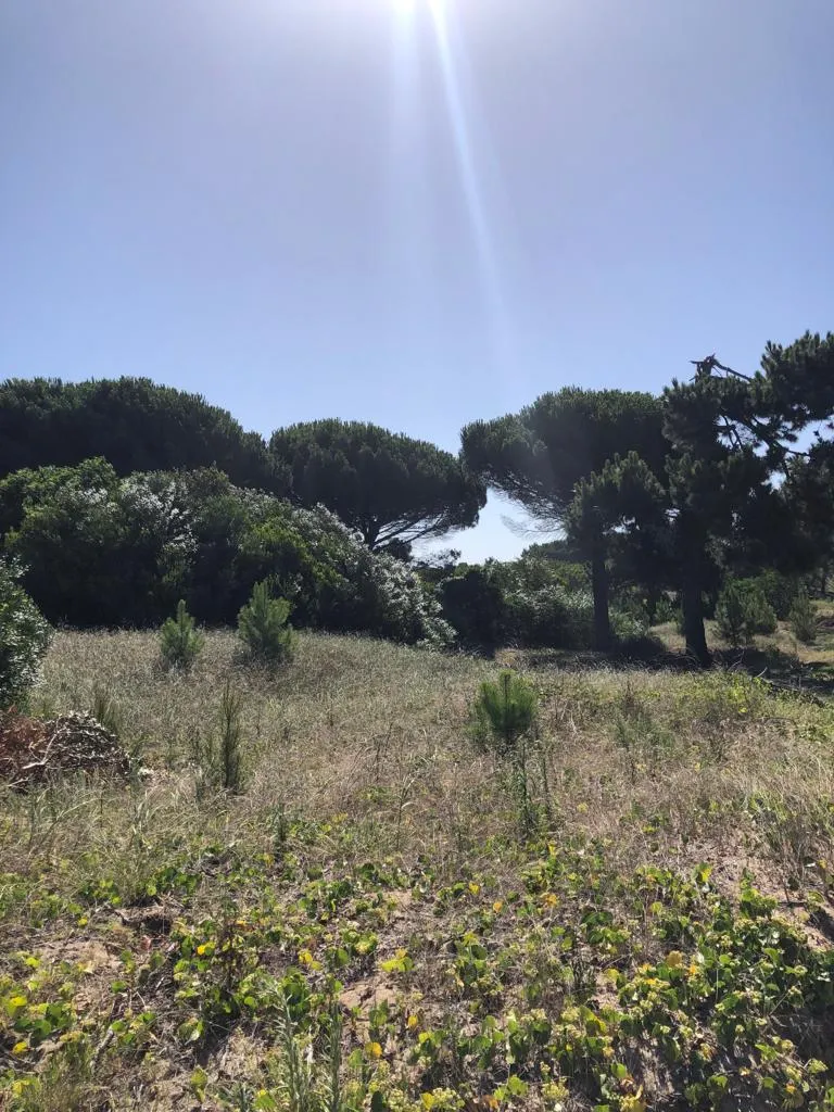 Tierra de Mar — entrar temprano — foto 15
